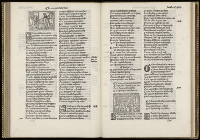 Page from The Romance of the Rose